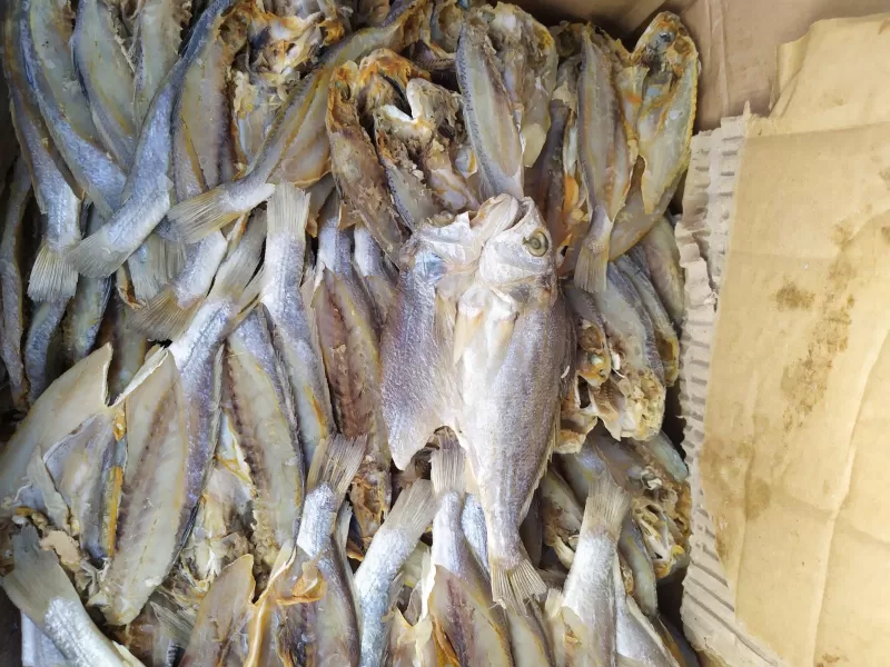 ikan asin belah kepala batu